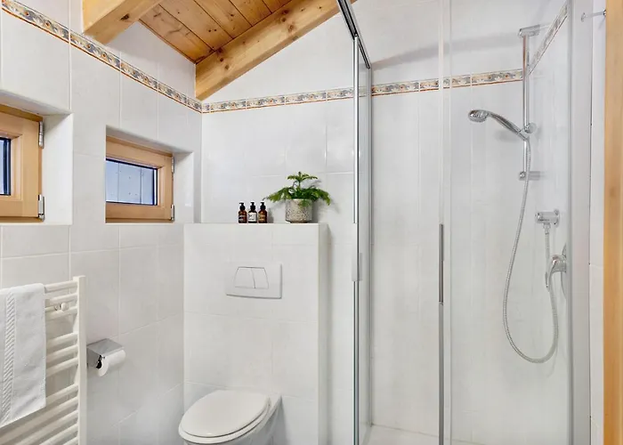 Aparthotel Holzhackerin - The Charming Haus Am Berg Schladming